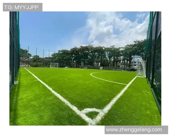 家天下足球场：打造社区足球文化的温馨港湾与青少年成长的摇篮